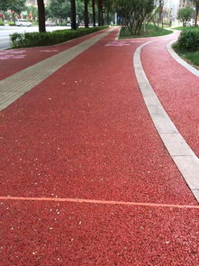 南宁透水混凝土与生态假山施工 材料生产与地坪承接报价