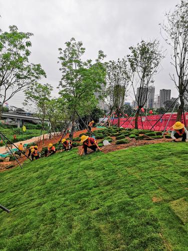 国艺园林大沙河生态长廊景观项目绿化工程II标 假山的艺术与生态融合