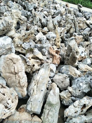 太湖石 自然的雕塑，园林的灵魂