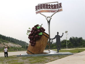 雕塑艺术与园林美学的完美交融 走进同泽景园