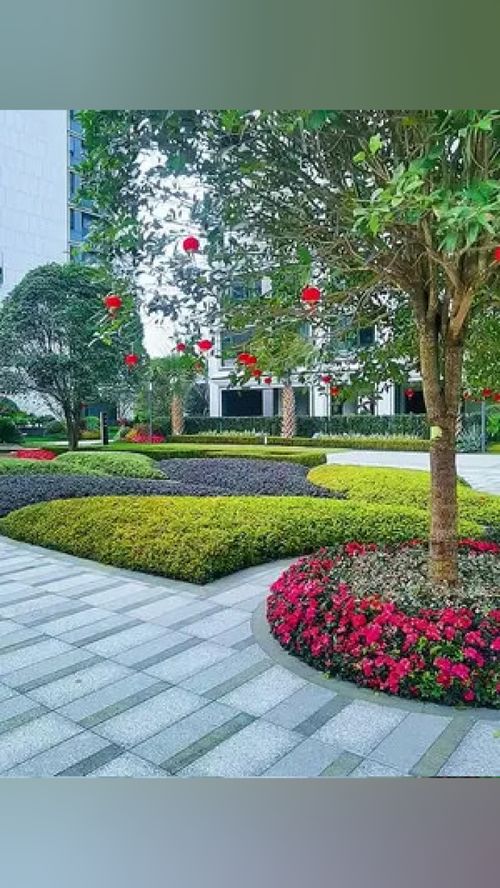 无需艳羡别人的风景，脚下的路终会繁花似锦
