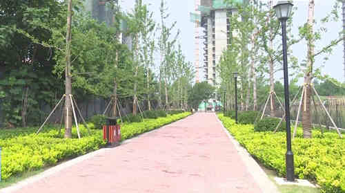 济宁邹城市 绿地建设重点发力，喷泉设计巧融绿意，民生福祉悄然升级